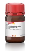 3-(Trimethylammonium)propyl-functionalized silica gel, carbonate 200-400 mesh, extent of labeling: 0.8 mmol/g loading