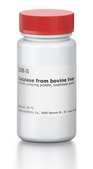 Catalase from bovine liver ≥20000 units/mg protein, lyophilized powder