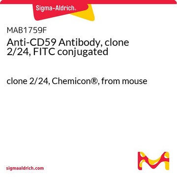 Anti-CD59 Antibody, clone 2/24, FITC conjugated clone 2/24, Chemicon&#174;, from mouse