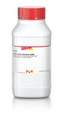 Casein from bovine milk suitable for substrate for protein kinase (after dephosphorylation), purified powder
