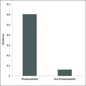 Anti-phospho-NMDAR1 (pSer896) antibody produced in rabbit affinity isolated antibody