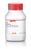 Nicotinamide BioReagent, suitable for cell culture, suitable for insect cell culture