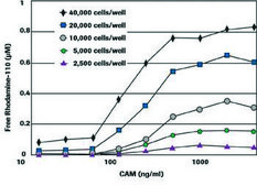Homogeneous Caspases Assay, fluorimetric