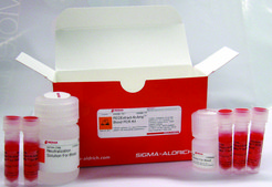 REDExtract-N-Amp™ Blood PCR Kit sufficient for 100 extractions, sufficient for 500 amplifications