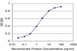 Monoclonal Anti-ARHGEF11 antibody produced in mouse clone 2H7, purified immunoglobulin, buffered aqueous solution