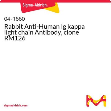 Rabbit Anti-Human Ig kappa light chain Antibody, clone RM126