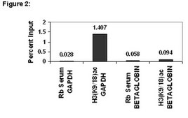 ChIPAb+ Acetyl-Histone H3 (Lys9/18) - ChIP Validated Antibody and Primer Set serum, from rabbit