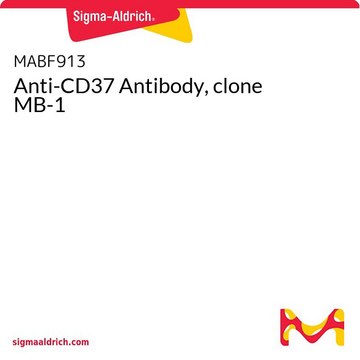 Anti-CD37 Antibody, clone MB-1