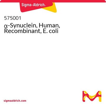 &#945;-Synuclein, Human, Recombinant, E. coli