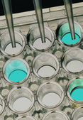 TRANSIA® AG EHEC BioControl, ELISA test for detection of E. coli O157:H7 in food and environmental samples