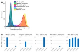 Jurkat JE6.1 NF-kB::eGFP hTLR2/6 (human Toll-like Receptor 2/6) Cell Line