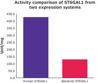 Beta-galactoside alpha-2,6-sialyltransferase 1 ≥300 units/mg protein, ST6GAL1 human recombinant, expressed in HEK 293 cells