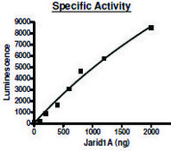 JARID1A human recombinant, expressed in baculovirus infected Sf9 cells, ≥80% (SDS-PAGE)
