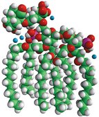Kdo2-Lipid A (KLA) Avanti Research™ - A Croda Brand