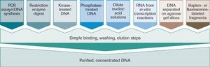 ハイピュア（High Pure） PCR産物精製キット sufficient for 250 purifications (11732676001), sufficient for 50 purifications (11732668001), suitable for DNA purification
