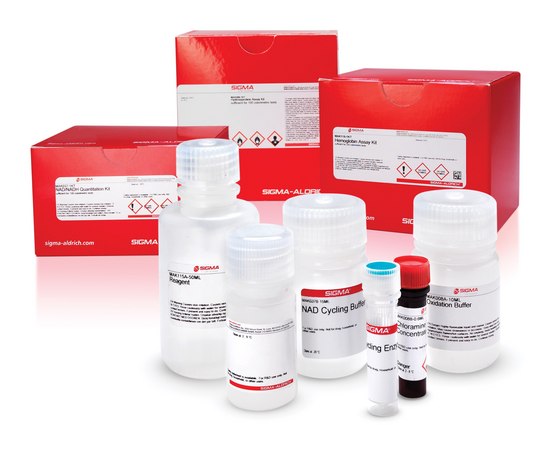 biovision glutathione assay kit Glutathione-S-Transferase (GST) sufficient for 500 multiwell tests Liposomal Glutathione & Zinc