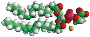 16:0-18:2 PS 1-palmitoyl-2-linoleoyl-sn-glycero-3-phospho-L-serine (sodium salt), chloroform