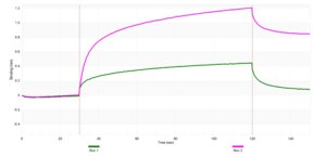 Anti-LIMK1 Antibody, clone 2E21 ZooMAb® Rabbit Monoclonal recombinant, expressed in HEK 293 cells