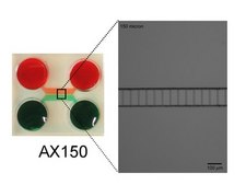 AXIS Axon Isolation Device, 150 µm, Plasma Bonded