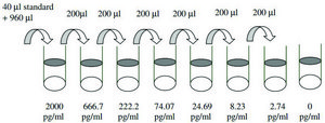 Mouse Granulocye-Macrophage Colony Stimulating Factor / CSF2 ELISA Kit for serum, plasma and cell culture supernatant