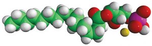 16:0 Lyso PA Avanti Research™ - A Croda Brand