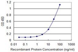 Monoclonal Anti-KIF16B antibody produced in mouse clone 2B5, purified immunoglobulin, buffered aqueous solution
