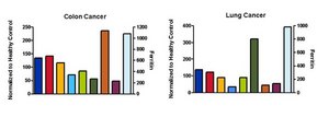 MILLIPLEX® Human Circulating Cancer Biomarker Panel