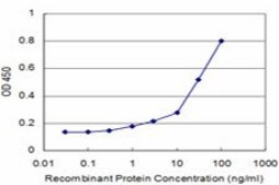 Monoclonal Anti-MAGED2 antibody produced in mouse clone 6G10, purified immunoglobulin, buffered aqueous solution