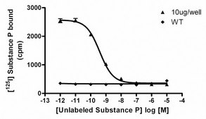 ChemiScreen ヒト NK1 タキキニン受容体膜製剤 Human NK1 GPCR membrane preparation for Radioligand binding Assays &amp; GTPγS binding.