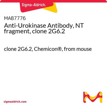 Anti-Urokinase Antibody, NT fragment, clone 2G6.2 clone 2G6.2, Chemicon&#174;, from mouse
