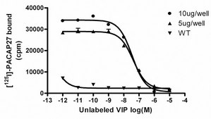 ChemiSCREEN Human VPAC2 VIP Receptor Membrane Preparation Human VPAC2 / VIP2 GPCR membrane preparation for Radioligand binding Assays &amp; GTPγS binding.