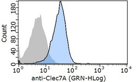 Anti-CLEC7A (Dectin-1) Antibody from rabbit, purified by affinity chromatography