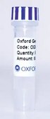 PSF-OXB20 - STRONG BACTERIAL PROMOTER PLASMID plasmid vector for molecular cloning