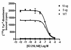 ChemiScreen BB2 Bombesin Receptor Membrane Preparation Human BB2 GPCR membrane preparation for Radioligand binding Assays &amp; GTPγS binding.