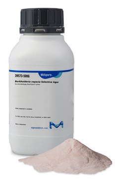 Burkholderia cepacia Selective Agar NutriSelect&#174; Prime, USP/NF, powder, suitable for microbiology, pack of 500&#160;g