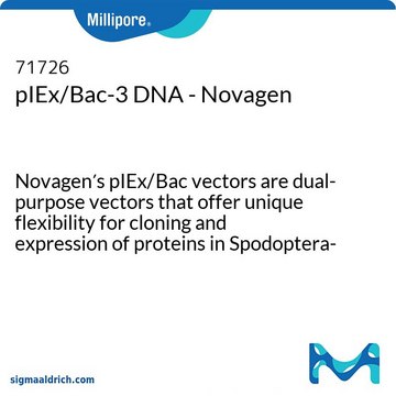 pIEx/Bac-3 DNA - Novagen Novagen&#8242;s pIEx/Bac vectors are dual-purpose vectors that offer unique flexibility for cloning and expression of proteins in Spodoptera-derived insect cells.