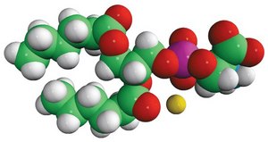 06:0 PS 1,2-dihexanoyl-sn-glycero-3-phospho-L-serine (sodium salt), chloroform