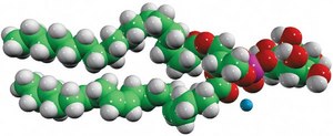 18:0-20:4 PI Avanti Research™ - A Croda Brand