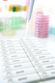 VIP® Gold Salmonella BioControl, Lateral flow test for detection of Salmonella in food and environmental samples