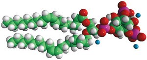 18:1 PI(3,5)P2 Avanti Research™ - A Croda Brand