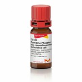 Thymidine Phosphorylase, recombinant from Escherichia coli recombinant, expressed in E. coli, buffered aqueous solution, ≥500 units/mL