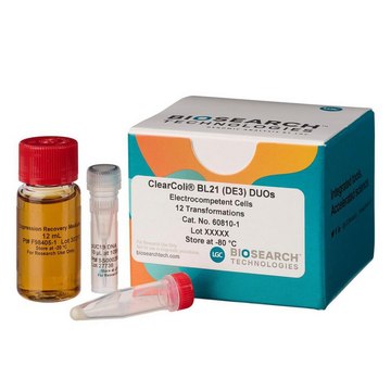 ClearColi BL21(DE3) Electrocompetent Cells, (DUOs) pkg of 12 reactions (6 x 50 µL), Cfu/&#181;g 1 x 109