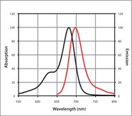 Anti-Rat IgG (H+L), highly cross-adsorbed, CF™ 680 antibody produced in goat ~2 mg/mL, affinity isolated antibody