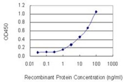 Monoclonal Anti-DYNLL2 antibody produced in mouse clone 1G7, purified immunoglobulin, buffered aqueous solution