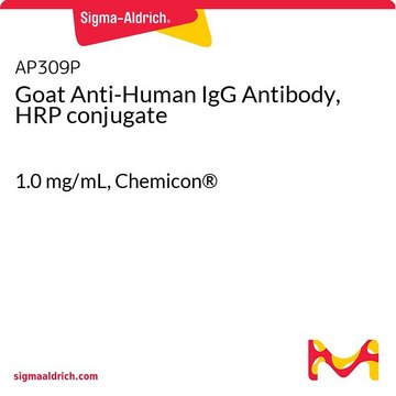 Goat Anti-Human IgG Antibody, HRP conjugate 1.0&#160;mg/mL, Chemicon&#174;