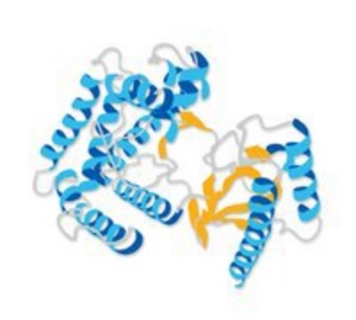 PTK5 Protein