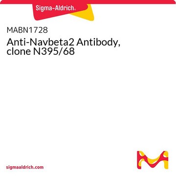 Anti-Navbeta2 Antibody, clone N395/68