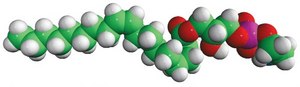 18:1 Lyso PE 1-oleoyl-2-hydroxy-sn-glycero-3-phosphoethanolamine, chloroform