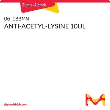 ANTI-ACETYL-LYSINE 10UL