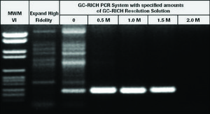 GC-RICH PCR System sufficient for ≤50 reactions, pkg of 100 U, optimum reaction temp. 72 °C